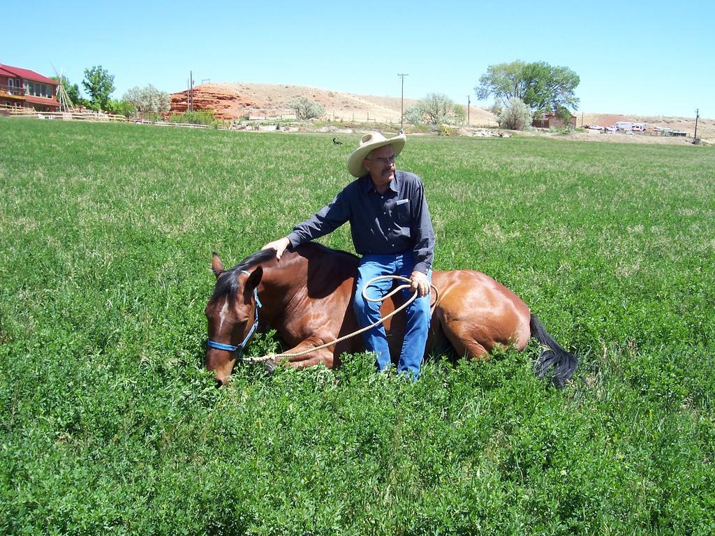 فندق K3 Guest Ranch كودي المظهر الخارجي الصورة